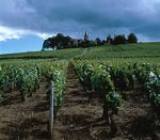 Burgundy Wine Tours Coach Burgundy Wine Tours Coach
